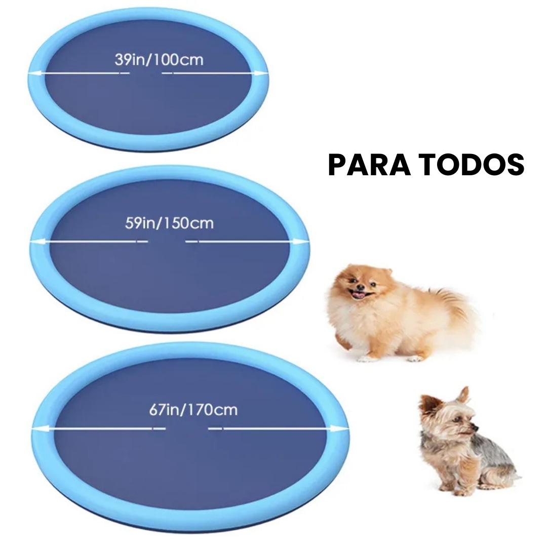 Piscina com chafariz para cachorro JetDoggy