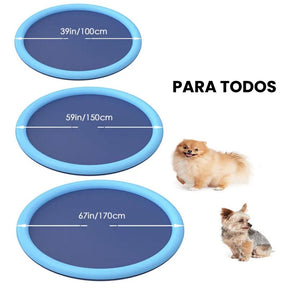 Piscina com chafariz para cachorro JetDoggy