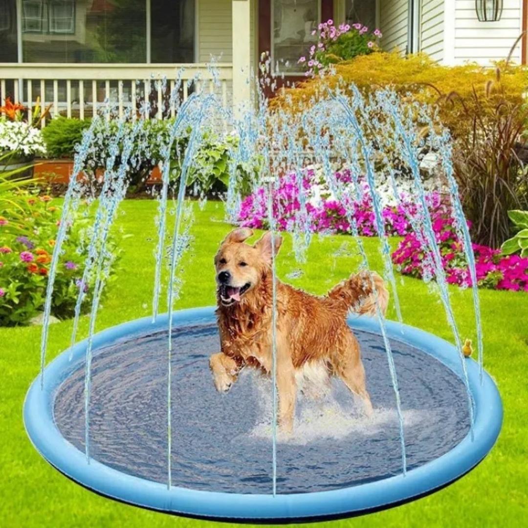 Piscina com chafariz para cachorro JetDoggy