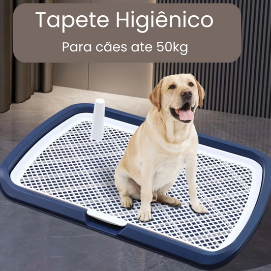 Banheiro Pet com Tela Antivazamento para Treinamento de Cachorros