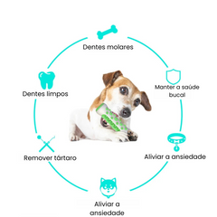 Mordedor de Limpeza Dental para Cães