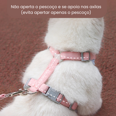 Peitoral com Guia para Gatos Confortável