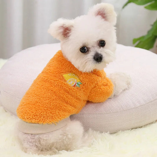 Roupa Quente para Cães Pequenos Laranja / PP R - roupas - 08