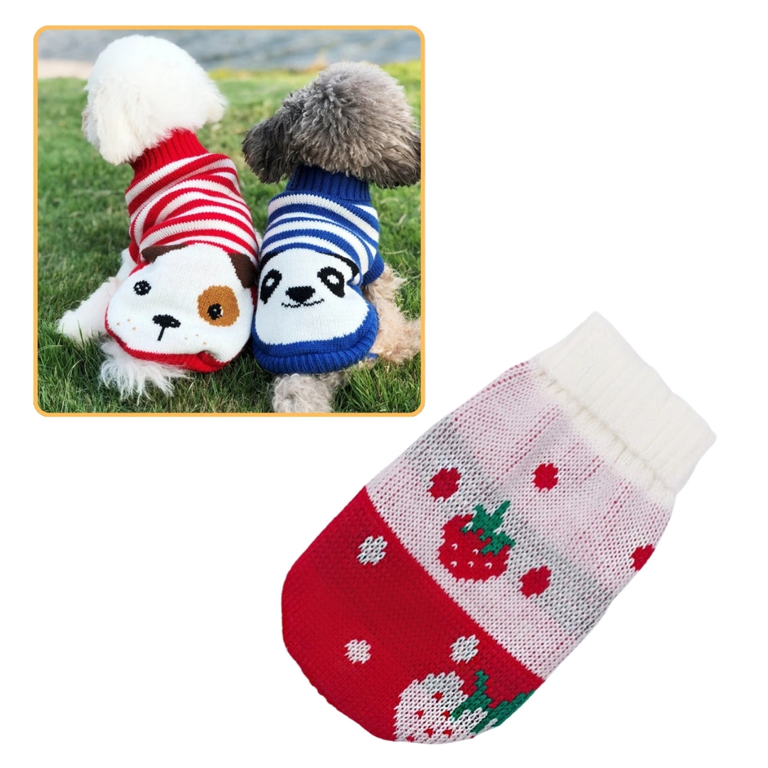 Roupa de Tricô Para Cães Pequenos Yorkie Vermelho Morango / PP R - Roupas - 12