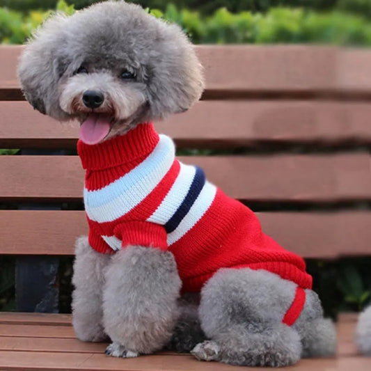 Roupa de Tricô Para Cães Pequenos Yorkie R - Roupas - 12