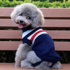 Roupa de Tricô Para Cães Pequenos Yorkie R - Roupas - 12
