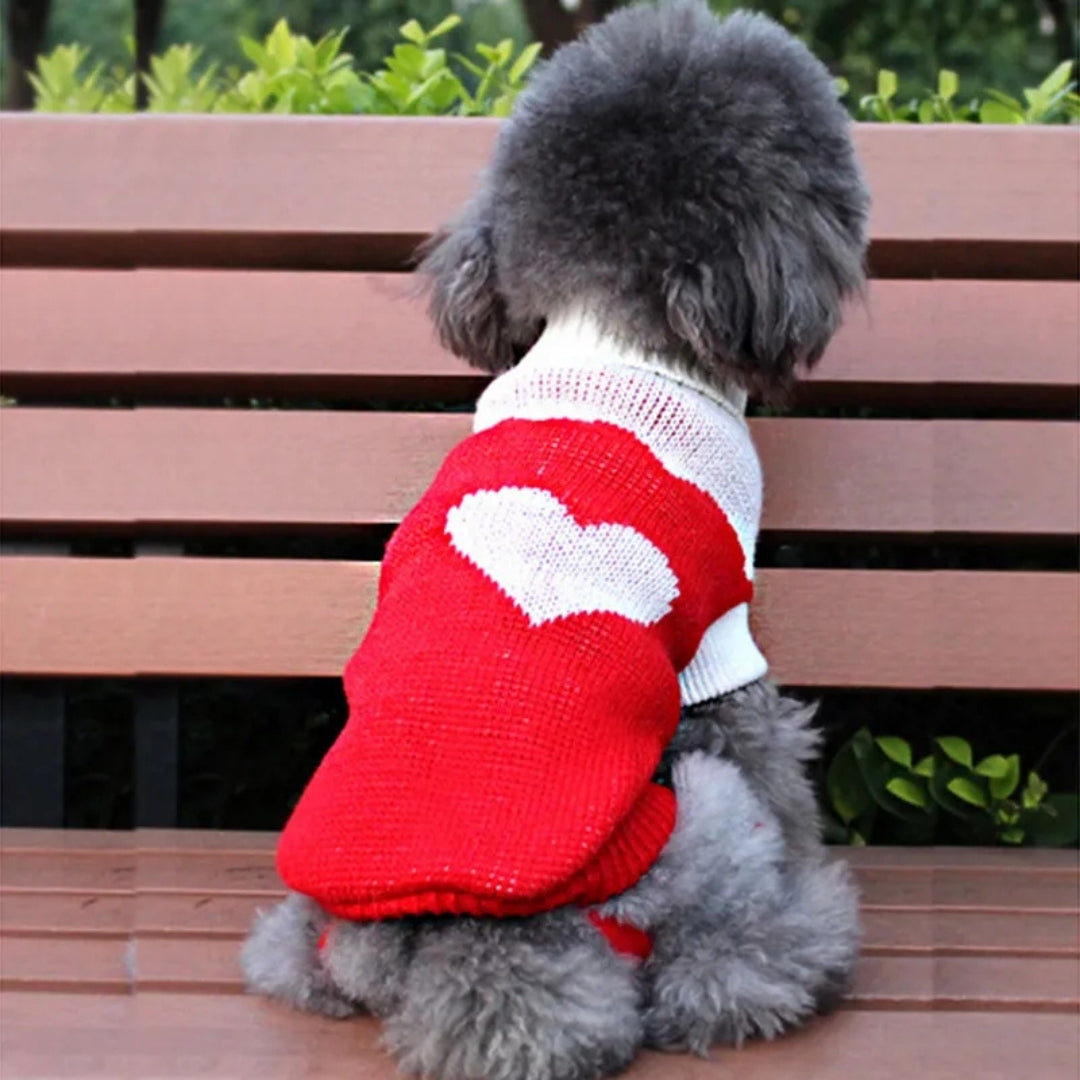 Roupa de Tricô Para Cães Pequenos Yorkie R - Roupas - 12