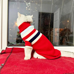 Roupa de Tricô Para Cães Pequenos Yorkie R - Roupas - 12
