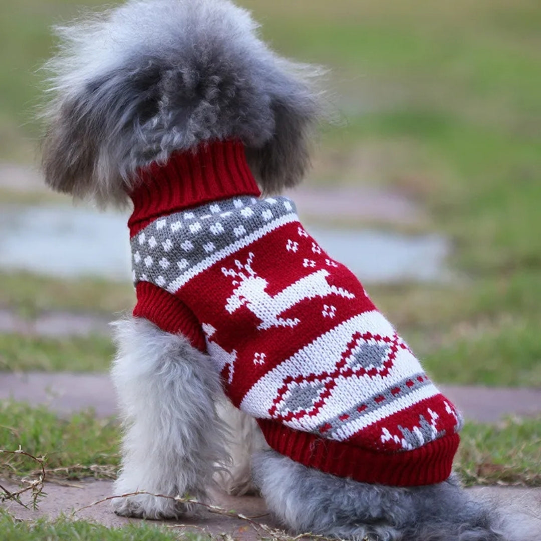 Roupa de Tricô Para Cães Pequenos Yorkie R - Roupas - 12
