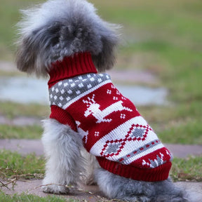 Roupa de Tricô Para Cães Pequenos Yorkie