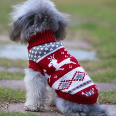Roupa de Tricô Para Cães Pequenos Yorkie R - Roupas - 12