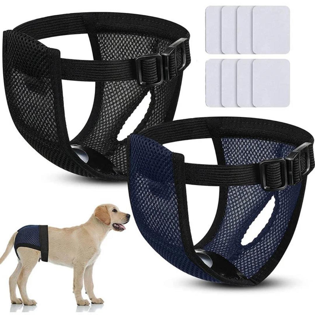 Roupa higiênica com absorvente para cachorro fêmea