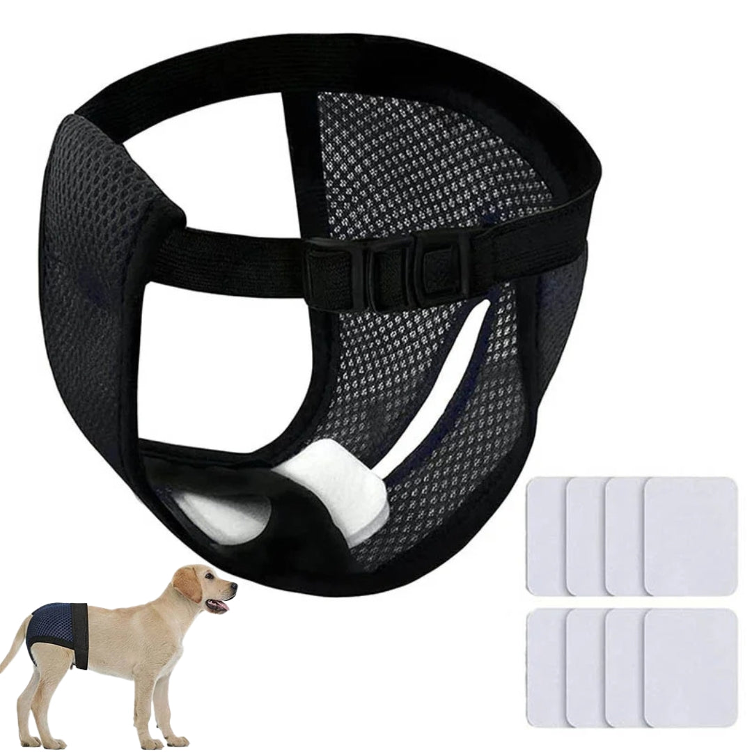 Roupa higiênica com absorvente para cachorro fêmea Preto / P S - Fralda - 01 TYU