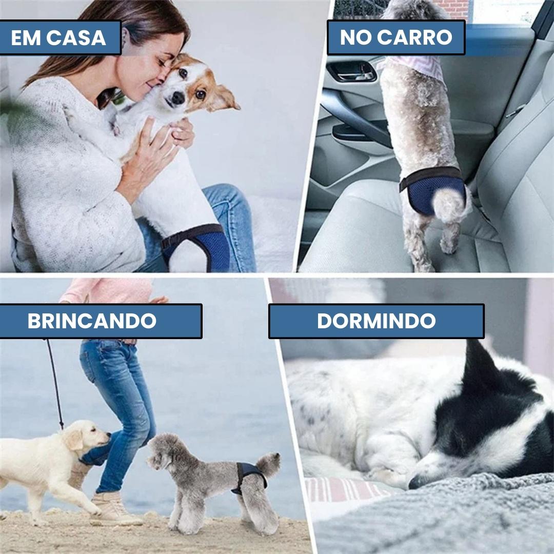 Roupa higiênica com absorvente para cachorro fêmea S - Fralda - 01 TYU