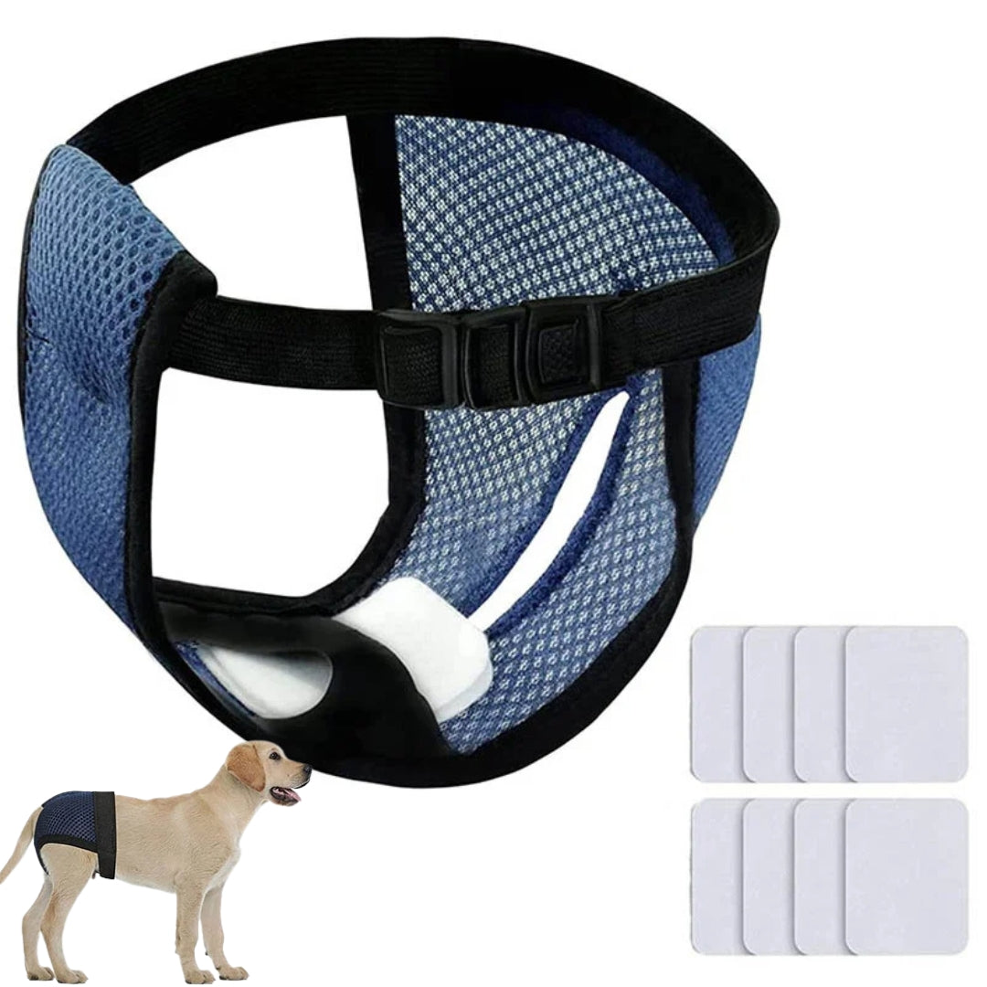 Roupa higiênica com absorvente para cachorro fêmea Azul / P S - Fralda - 01 TYU