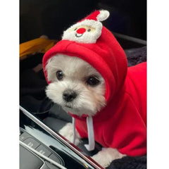 Fantasia de Natal para Cães Pequenos — Casaco Rena e Noel
