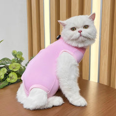 Roupa Pós-Cirúrgica para Gatos Colorida Confortável e Respirável
