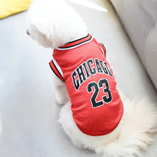 Roupa Casual para Cachorro com Tema Esportivo