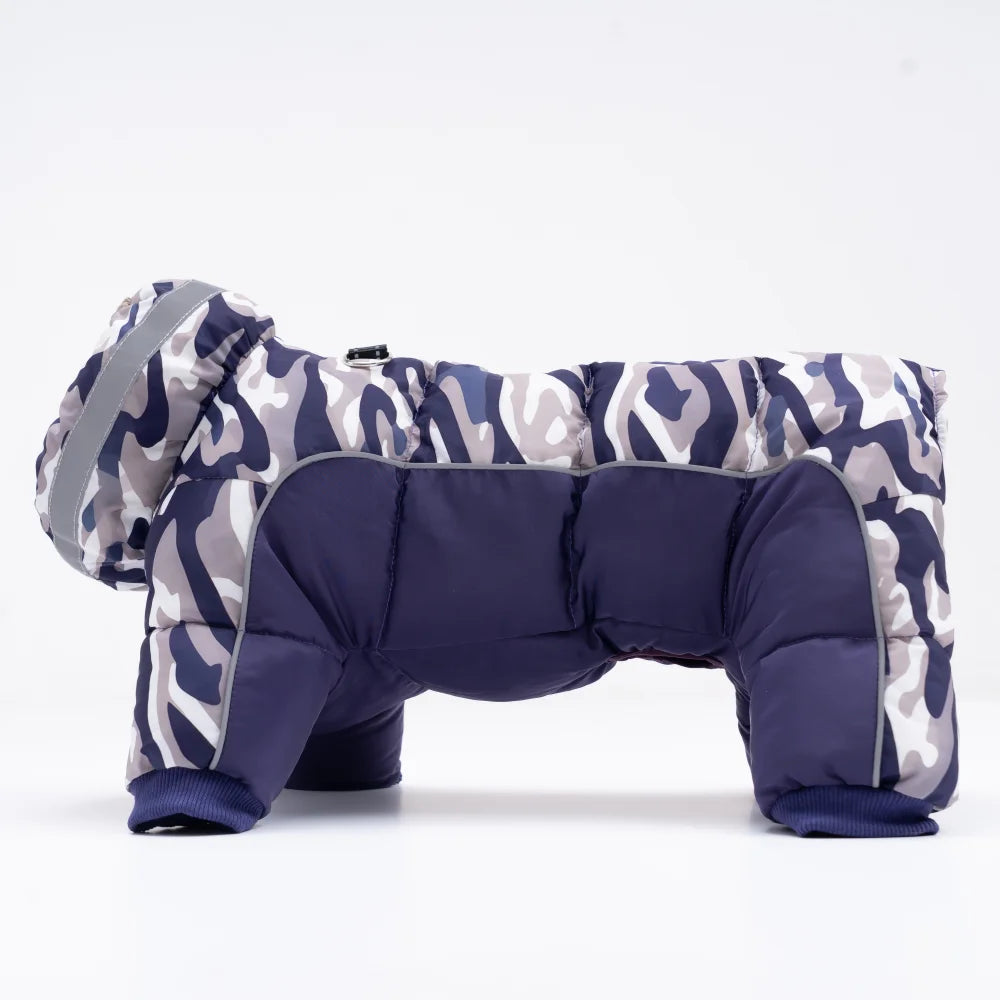 Roupinha Estilo Bomber para Pet com Design Casual