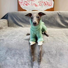 Casaco De Lã Para Cachorro Galgo - Veloz R - ROUPA - LNR2Y