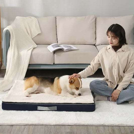 Cama Box Impermeável Para Cachorro - Dino C - CAMA - 62