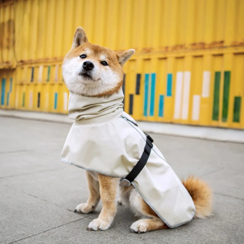 Roupa de Chuva para Labrador