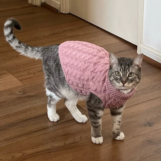 Suéter Para Gato Em Tricô Grosso Com Textura Trançada