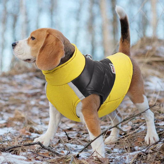 Jaqueta Impermeável Para Cachorro R - ROUPA - 64