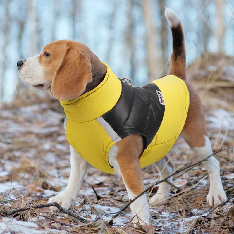 Jaqueta Impermeável Para Cachorro