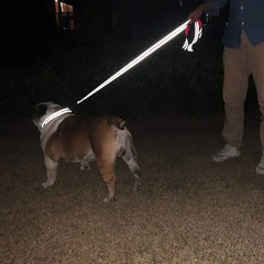 Guia Refletiva De Nylon Para Cães - Reboq C - GUIA - 06
