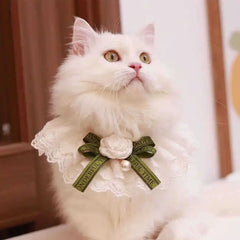 Colar Para Gatos Em Renda Com Laço De Cetim Estilo Clássico