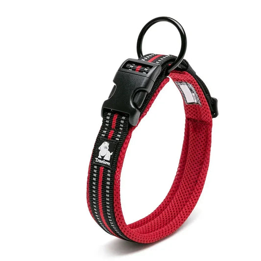 Coleira para Cachorro Refletiva Luna LN730 C - COLEIRA - 28