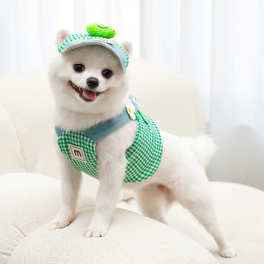 Colete com Guia para Cachorros Pequenos com Chapéu