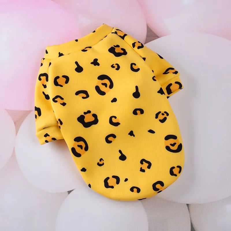 leopard
