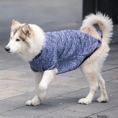 Roupa Pet com Visual Elegante e Quentinho – Tecido Respirável