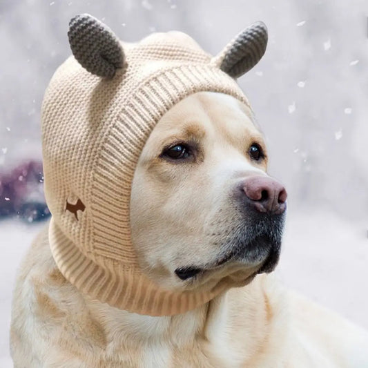 Touca Para Cachorro Em Tricô Com Orelhinhas Decorativas