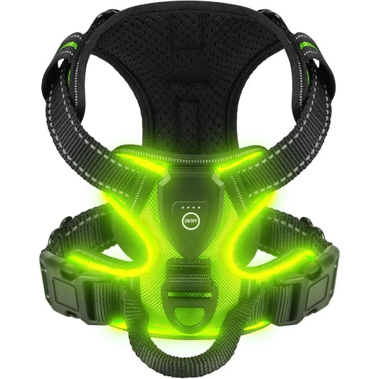 Peitoral com LED Recarregável para Cães Segurança Noturna