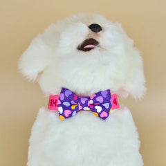 Coleira Com Laço Para Cães e Gatos - Suki C - COLEIRA - 02