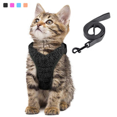 Peitoral Para Gato Com Guia Ajustável E Fecho Seguro
