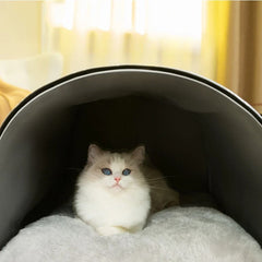 Casa de Pet Para Inverno - Comfy C - CAMA - 31