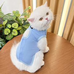 Roupa Pós-Cirúrgica para Gatos Colorida Confortável e Respirável