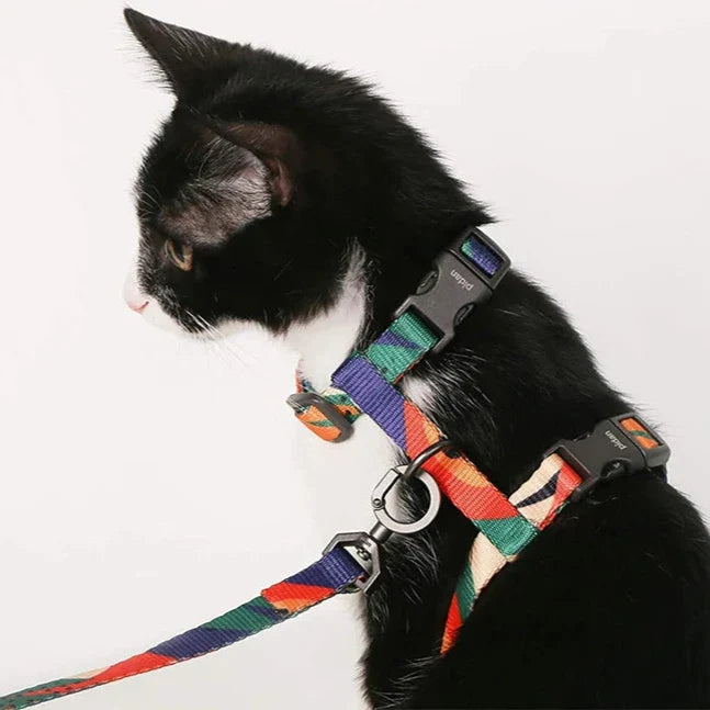Arnês e Guia Para Gatos Luna LN320 C - GUIA - 10