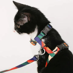 Arnês e Guia Para Gatos Luna LN320 C - GUIA - 10