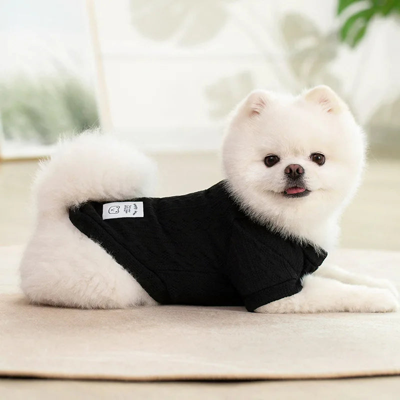 Suéter de Tricô Trançado para Cães Pequenos — Clássico