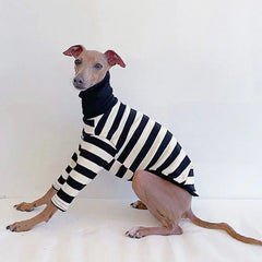 Roupa Listrada Para Cachorro Galgo - Flash R - ROUPA - 96