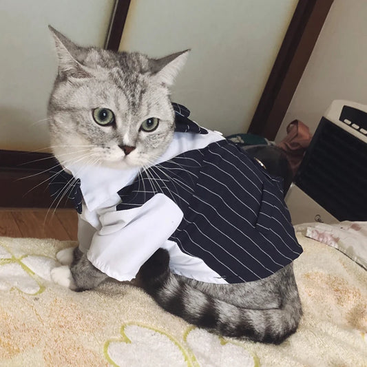 Roupa Social para Gato com Gravata Borboleta