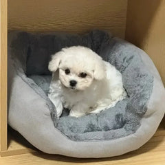 Cama Redonda Profunda Pet Pelúcia Ultra Macia para Cães e Gatos