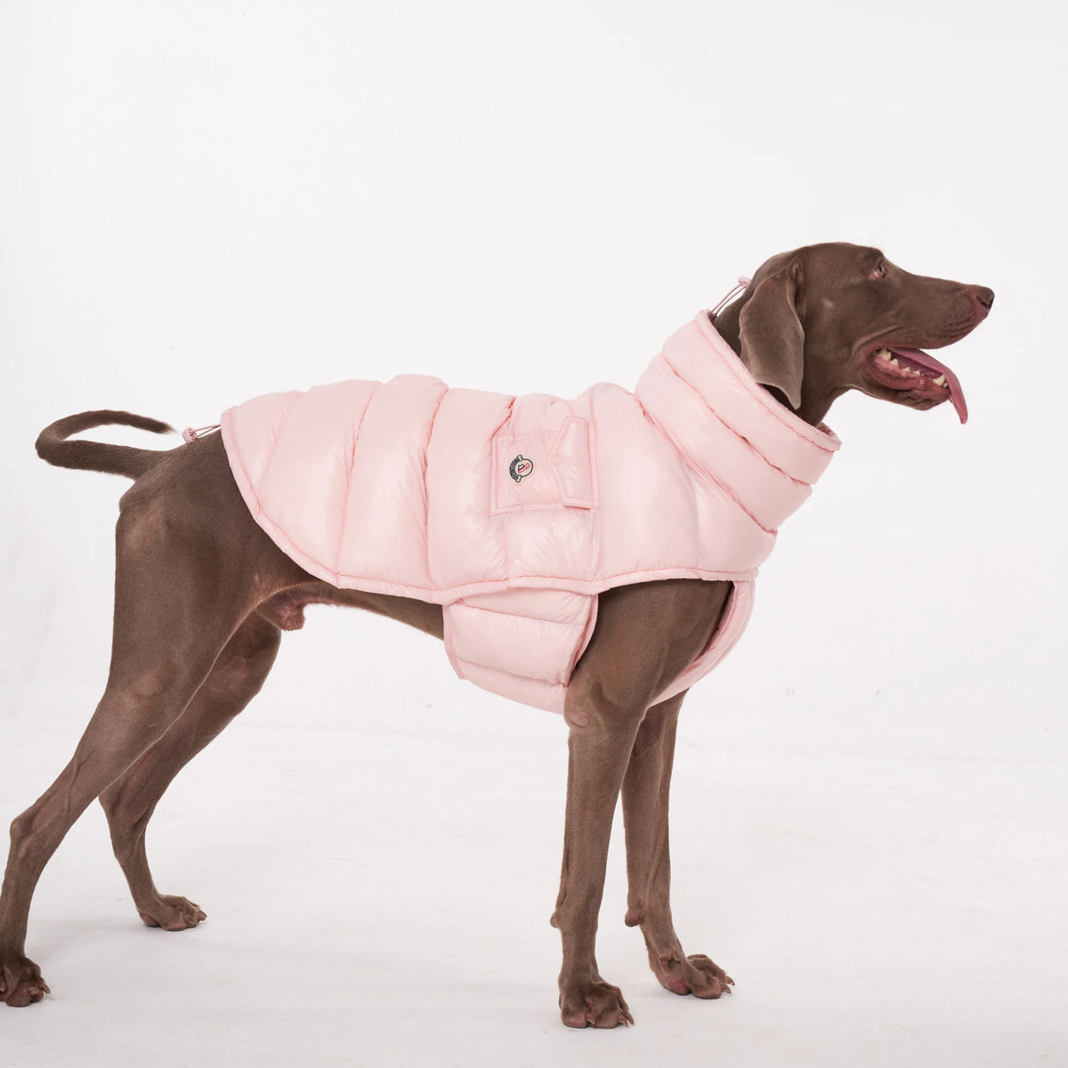 Colete Térmico para Pets com Proteção Contra o Frio