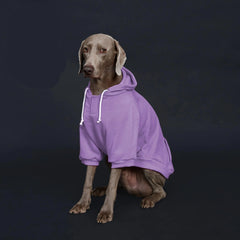 Moletom Casual com Capuz para Cachorro Grande com Bolso Frontal