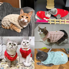 Moletom de Inverno para Gatos e Cães Pequenos — Sphynx